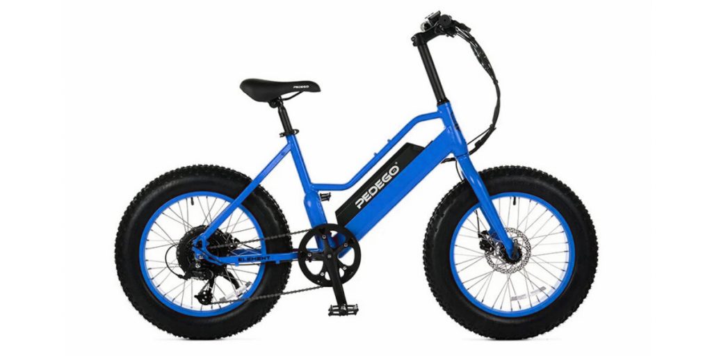 Teenagers and Electric Bikes (e-bikes)