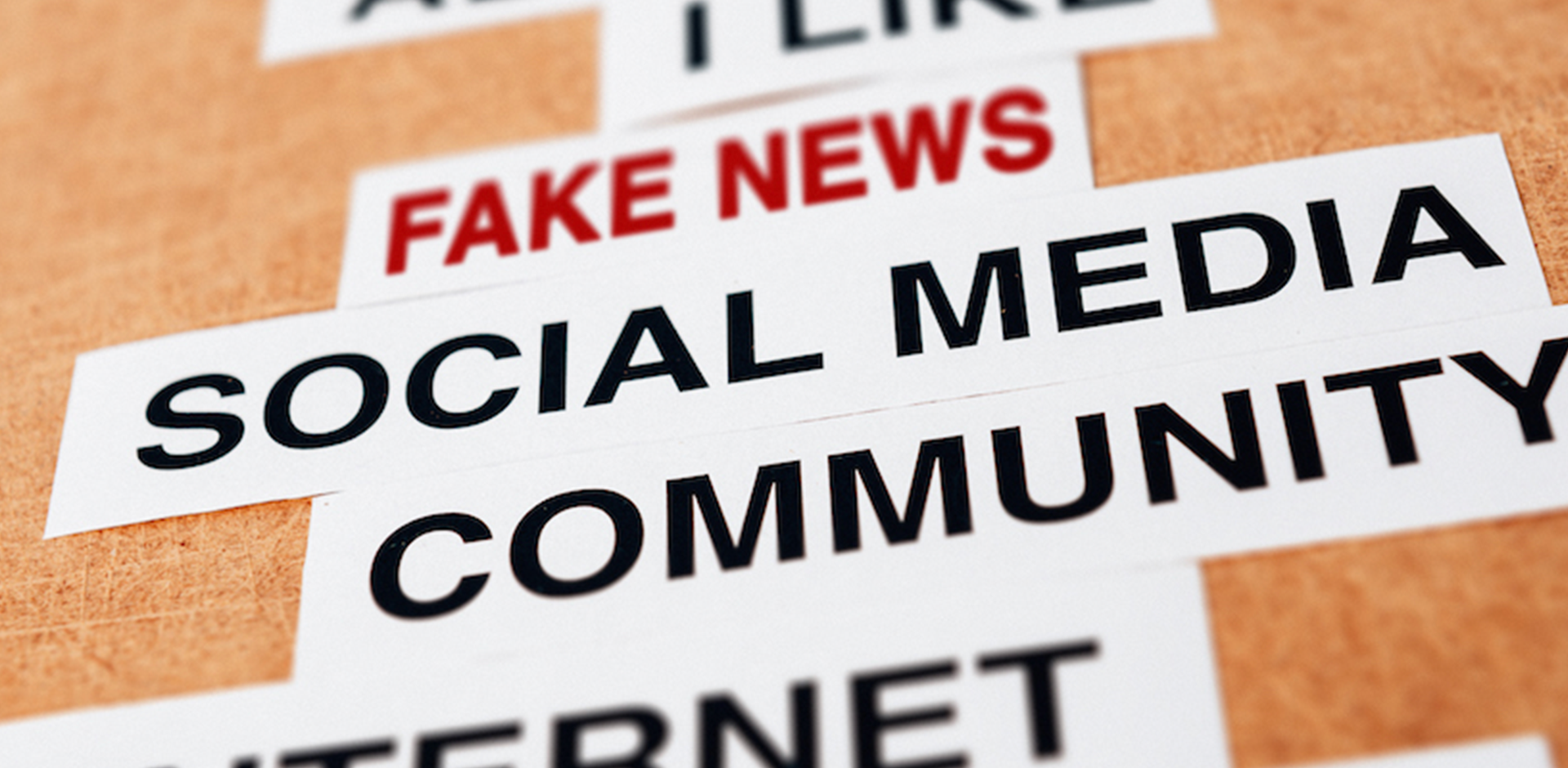 The Spread of Misinformation and How it Affects Our Daily and Social Lives