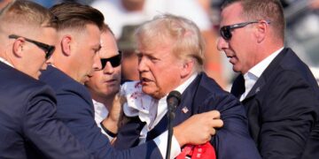 The Tragic Murder of Sonia Massey by a Rogue Cop: National Reactions