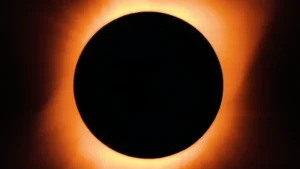 The Seductive Absurdity of the 7-Second “Gravity Blackout” Hoax