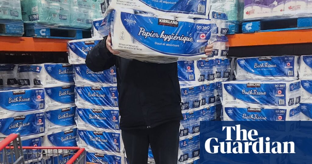 Wiped out: US faces surging toilet paper prices amid trade war with Canada