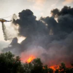 Belgium's Largest Wildfire on Record Burns 3,000 Hectares of High Fens Reserve