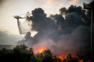Belgium's Largest Wildfire on Record Burns 3,000 Hectares of High Fens Reserve
