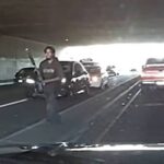 LAPD Releases Bodycam Video of Fatal Shooting of Man With Raised Baseball Bat