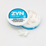 The Autumn Spice Trap: Why the FDA's Nicotine Pouch Approval Has Health Groups Alarmed