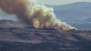 Hawk Fire: 10,500+