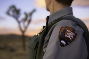 A National Park Service ranger; the agency has lost nearly a quarter of its permanent workforce since January 2025, and morale has fallen to a historic low