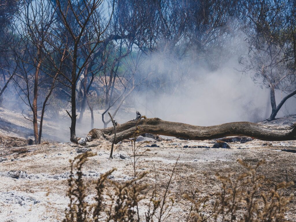 ‘It’s apocalyptic.’ A look at the aftermath of catastrophic fires in Spokane