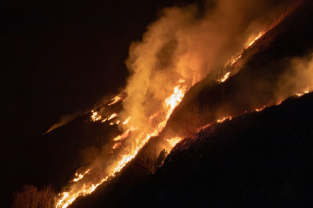 More than 846 structures destroyed by Spokane wildfires
