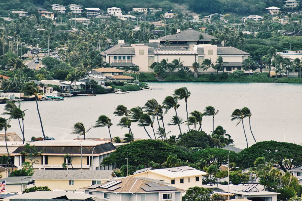 Live updates: Hawaii House primaries include Ed Case challenged from the left