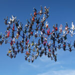65 Skydivers Set Guinness World Record Jumping With National Flags Over Libya