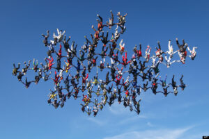 65 Skydivers Set Guinness World Record Jumping With National Flags Over Libya