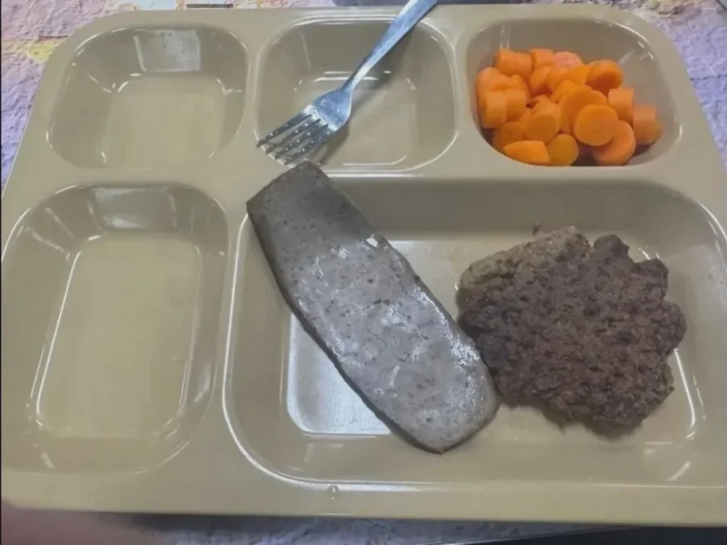 The Squalor of Steel: Food, Water and Hygiene Failures Aboard the USS Abraham Lincoln