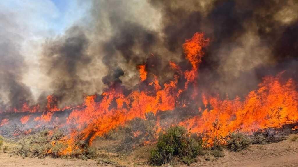 Crews battle wildfires in western U.S. and Canada