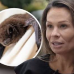 Virginia Doctor Undergoes Rabies Treatment After Waking to Bat in Her Mouth