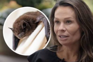 Virginia Doctor Undergoes Rabies Treatment After Waking to Bat in Her Mouth