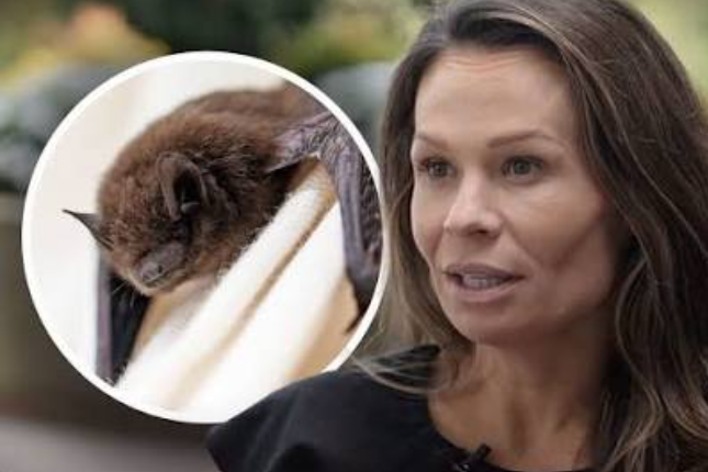 Virginia Doctor Undergoes Rabies Treatment After Waking to Bat in Her Mouth