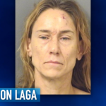 Boca Raton Woman Accused of DUI Hit-and-Run After Tesla Dashcam Captures Crash, Crack Pipe Found in Her Car