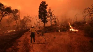 Lucas Fire Grows to Nearly 3,500 Acres Along Mendocino-Lake County Line, Forcing Evacuations