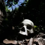 Police Found 28 Skulls in One Forest. That Weekend, Armed Men Took 87 More People Somewhere Else.