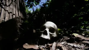 Police Found 28 Skulls in One Forest. That Weekend, Armed Men Took 87 More People Somewhere Else.