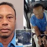 Tiger Woods Pleads Guilty to Reckless Driving, License Suspended 5 Years in DUI Case