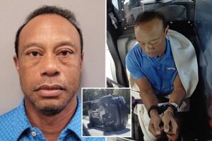 Tiger Woods Pleads Guilty to Reckless Driving, License Suspended 5 Years in DUI Case