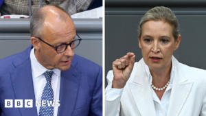 Germany’s Merz attacks AfD in stormy debate after far-right election win