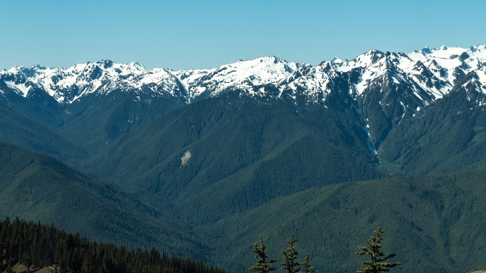 Backcountry wilderness terrain in Olympic National Park, where searchers are looking for a missing hiker