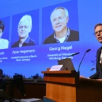 A Stanford Psychiatrist Shares the Nobel Prize in Medicine for Using Light to Switch Brain Cells On and Off
