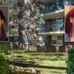 Bronx Man Charged With Murder After Mother and Baby Were Pushed From a 15th-Floor Balcony