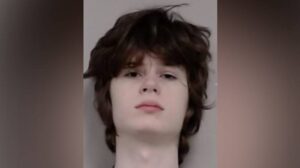 Illinois Teen Charged in Alleged Plot to Shoot Indian Worshipers at a Hindu Temple. Police Say His Rifle Jammed.